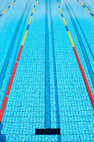 swim